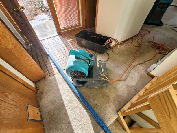 Best Water damage cleanup near me  in Salisbury, NC