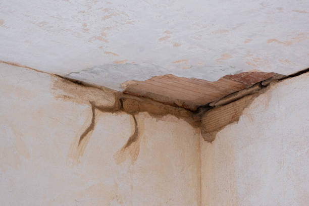 Best Residential water damage restoration  in Salisbury, NC