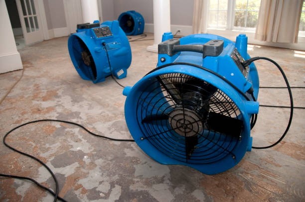 Best Flooded house restoration  in Salisbury, NC